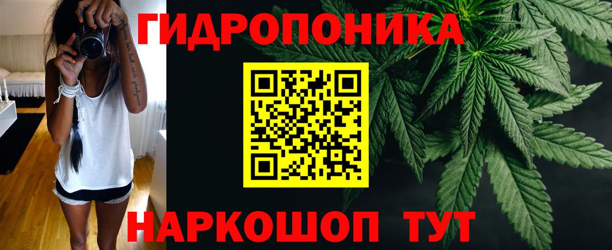 Шишки марихуана конопля  Канабис планчик  Бошки Шишки Amnesia  Лесосибирск 